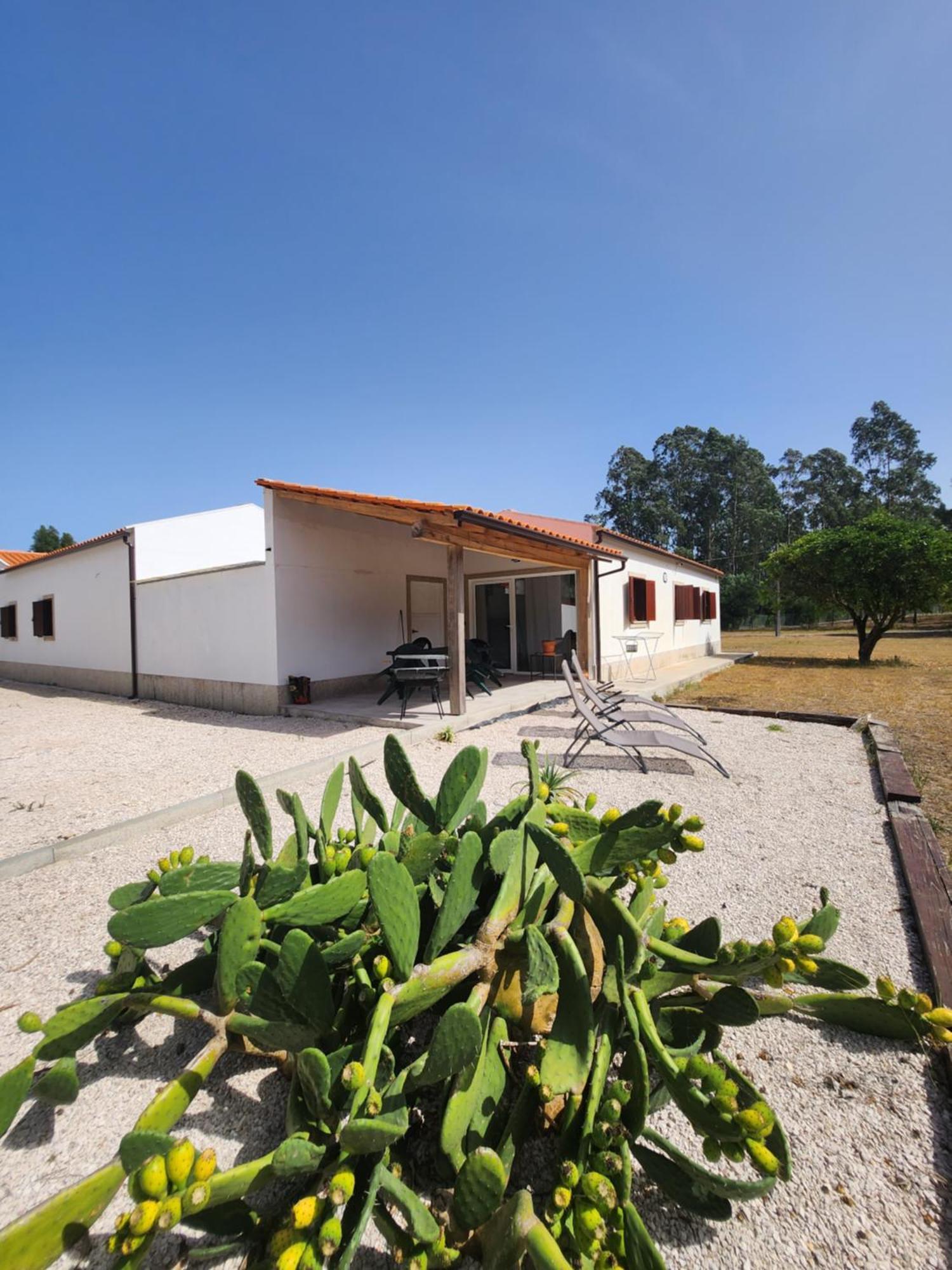 Quinta Das Camarinhas Кантаньеди Экстерьер фото